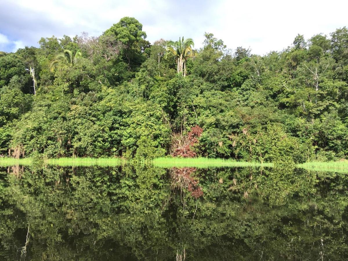 Amazon Arowana Lodge Careiro Екстериор снимка