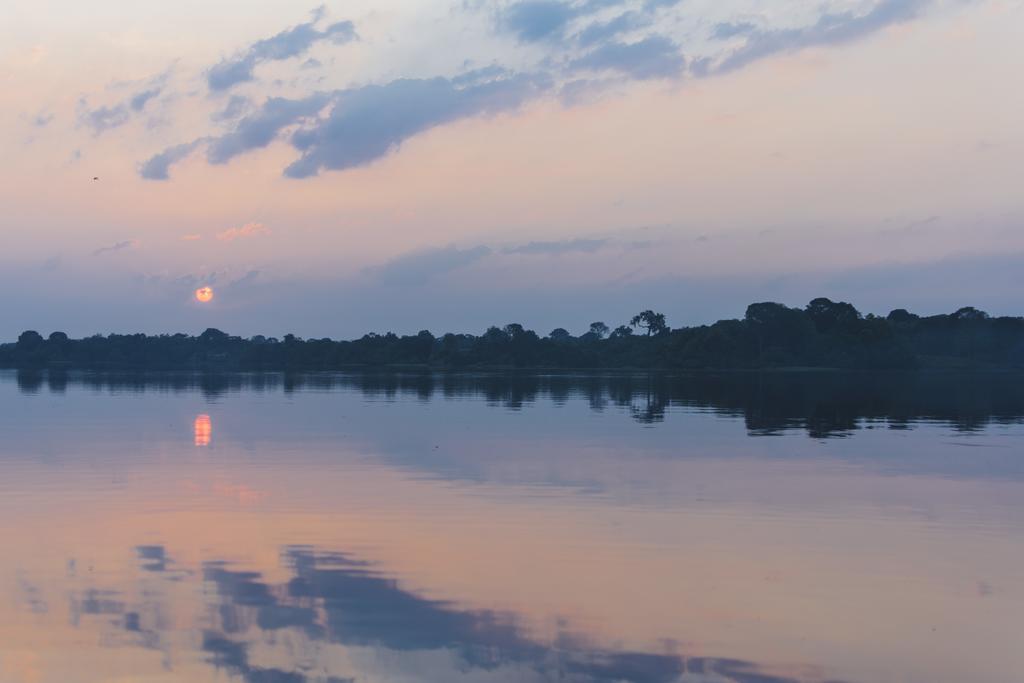 Amazon Arowana Lodge Careiro Екстериор снимка