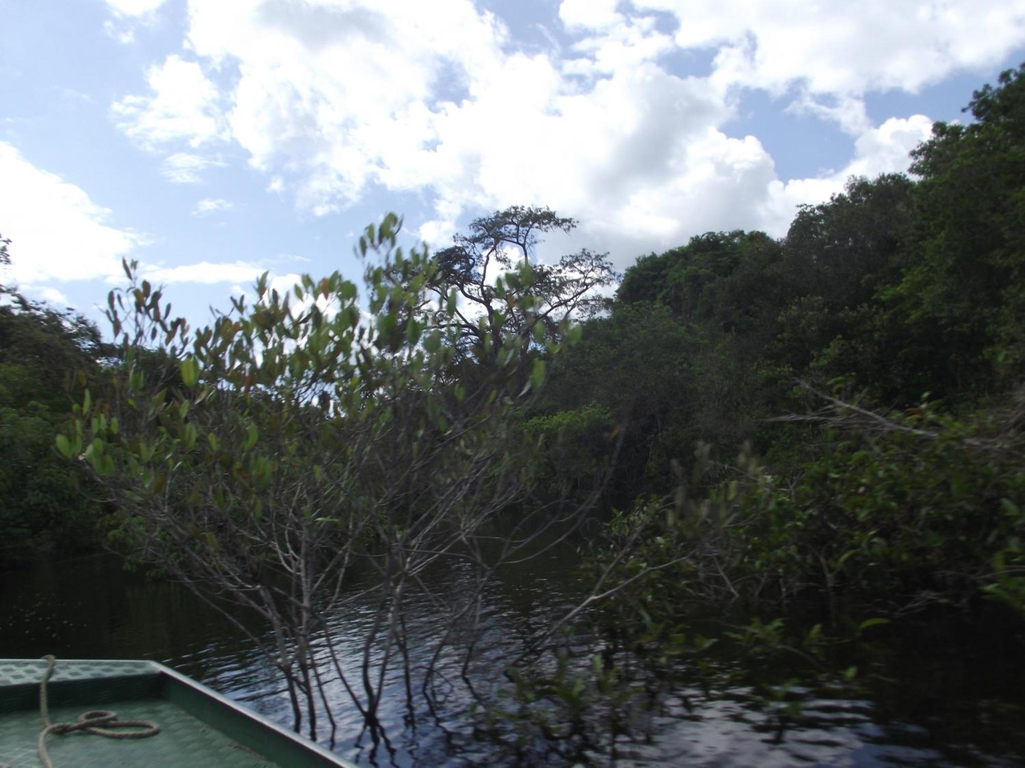 Amazon Arowana Lodge Careiro Екстериор снимка