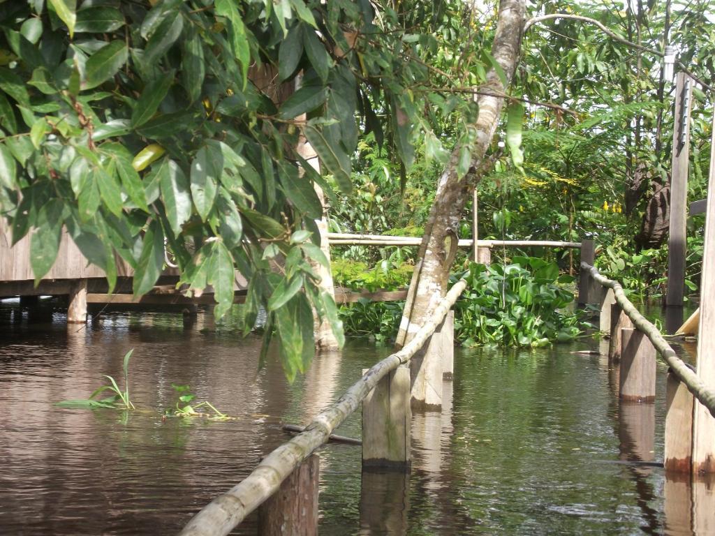 Amazon Arowana Lodge Careiro Екстериор снимка
